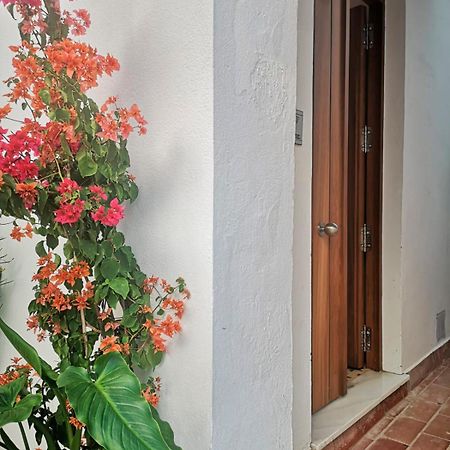 타리파 Erizo 3 Loft Diafano En El Centro Historico 아파트 외부 사진