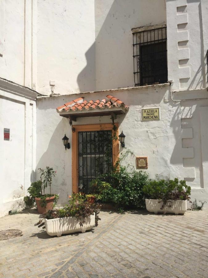 타리파 Erizo 3 Loft Diafano En El Centro Historico 아파트 외부 사진