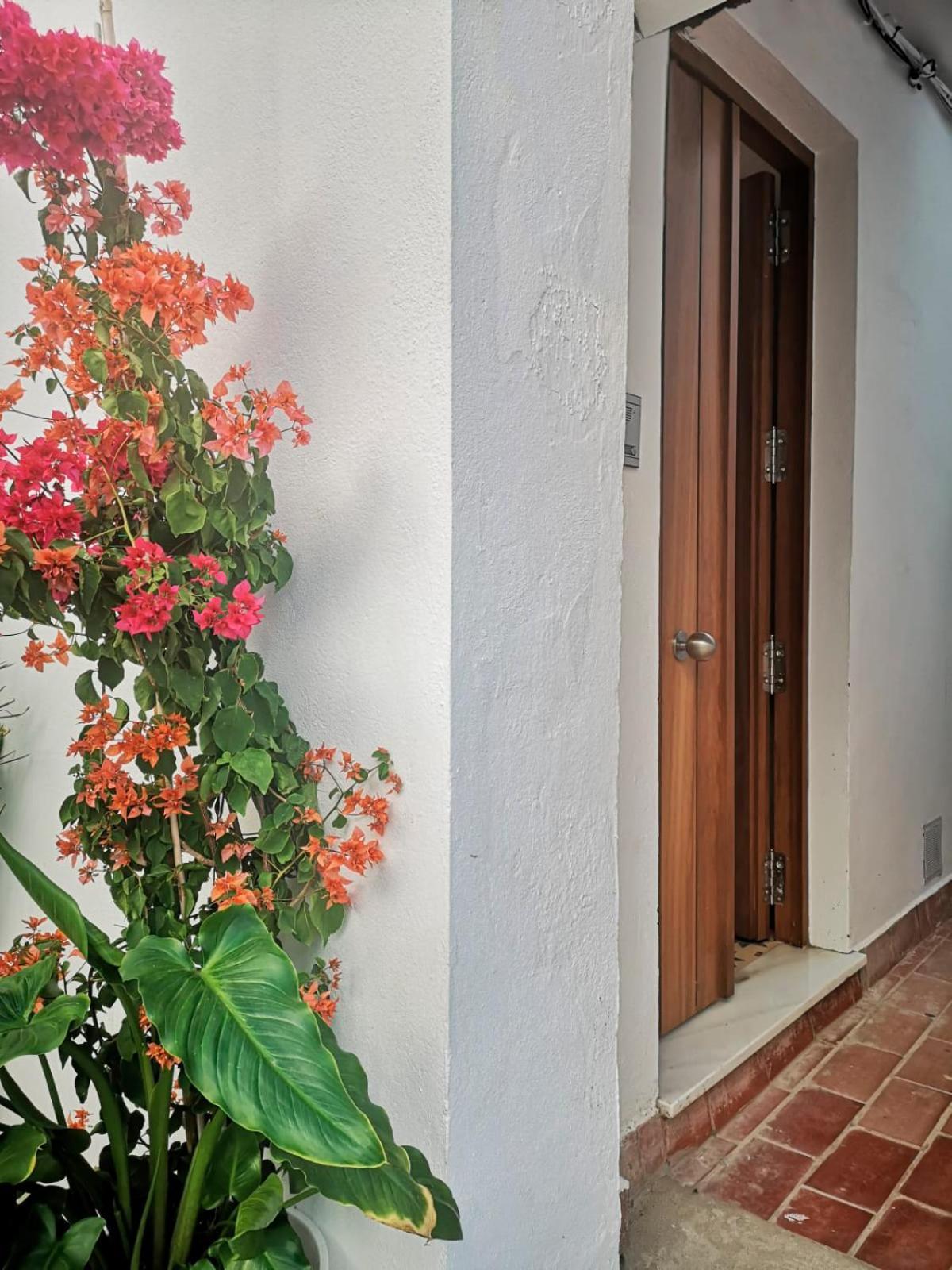 타리파 Erizo 3 Loft Diafano En El Centro Historico 아파트 외부 사진